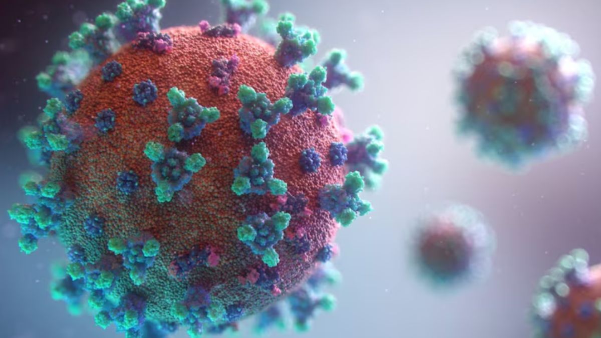 Representational Image Representational Image