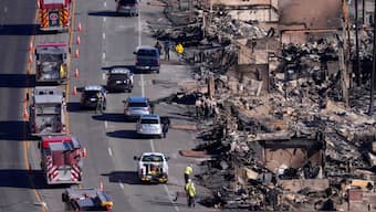 Homes along the Pacific Coast Highway are seen burned by the Palisades Fire, Sunday, Jan. 12, 2025, in Malibu, Calif. Image- AP