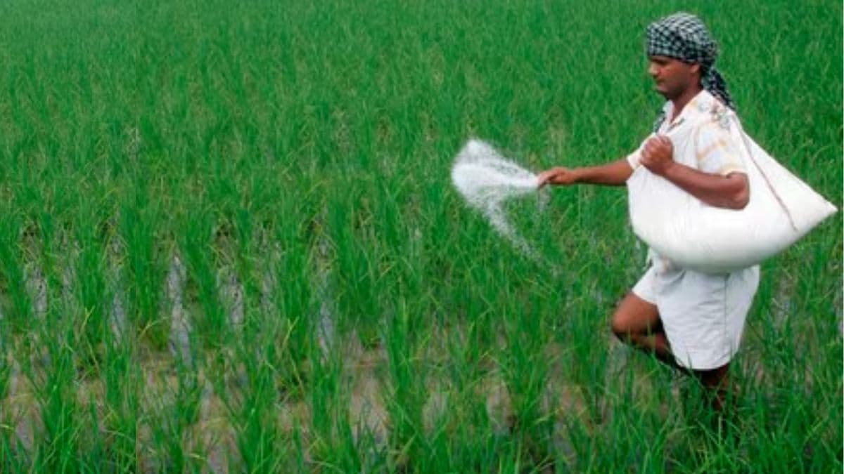 From farm to fortune: How Budget 2025 can double farmer incomes in India