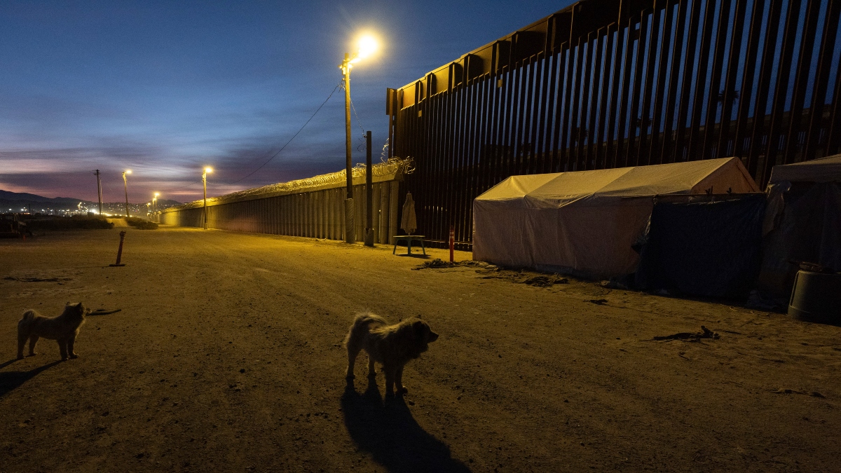 Dogs are seen near a border wall separating Mexico from the United States in San Diego. AP  Dogs are seen near a border wall separating Mexico from the United States in San Diego. AP