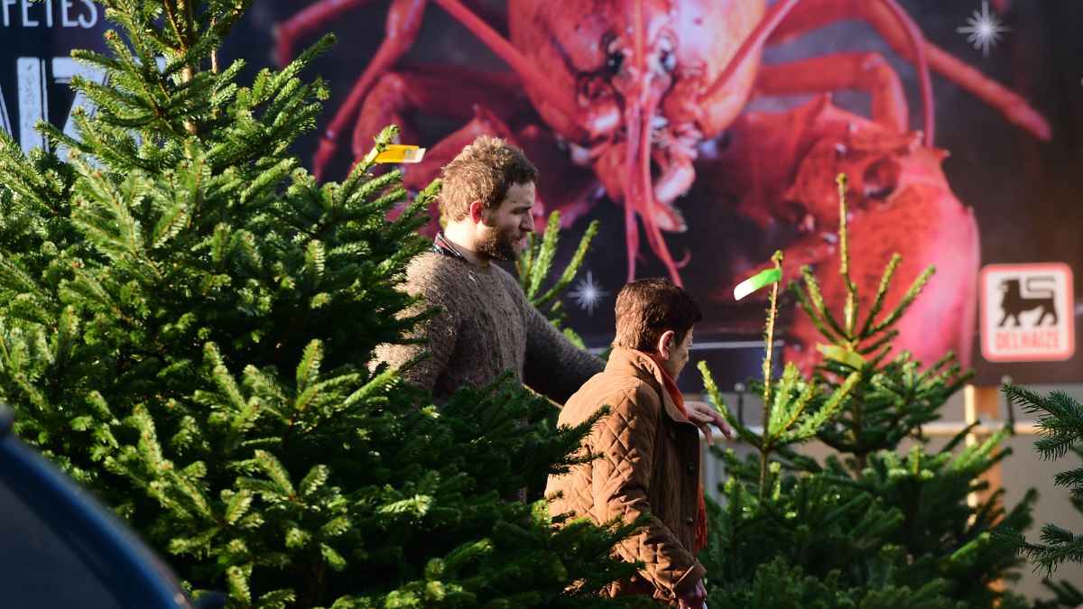 A christmas tree vendor (L) shows his wares to a customer in front of a supermarket advertising for end of the year celebrations food in Brussels, December 6, 2014. File Photo/AFP A christmas tree vendor (L) shows his wares to a customer in front of a supermarket advertising for end of the year celebrations food in Brussels, December 6, 2014. File Photo/AFP