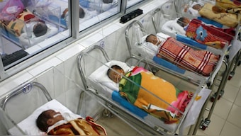 Birthright citizenship guarantees that anyone born in the United States automatically acquires American citizenship. Reuters/File Photo/Representational Image
