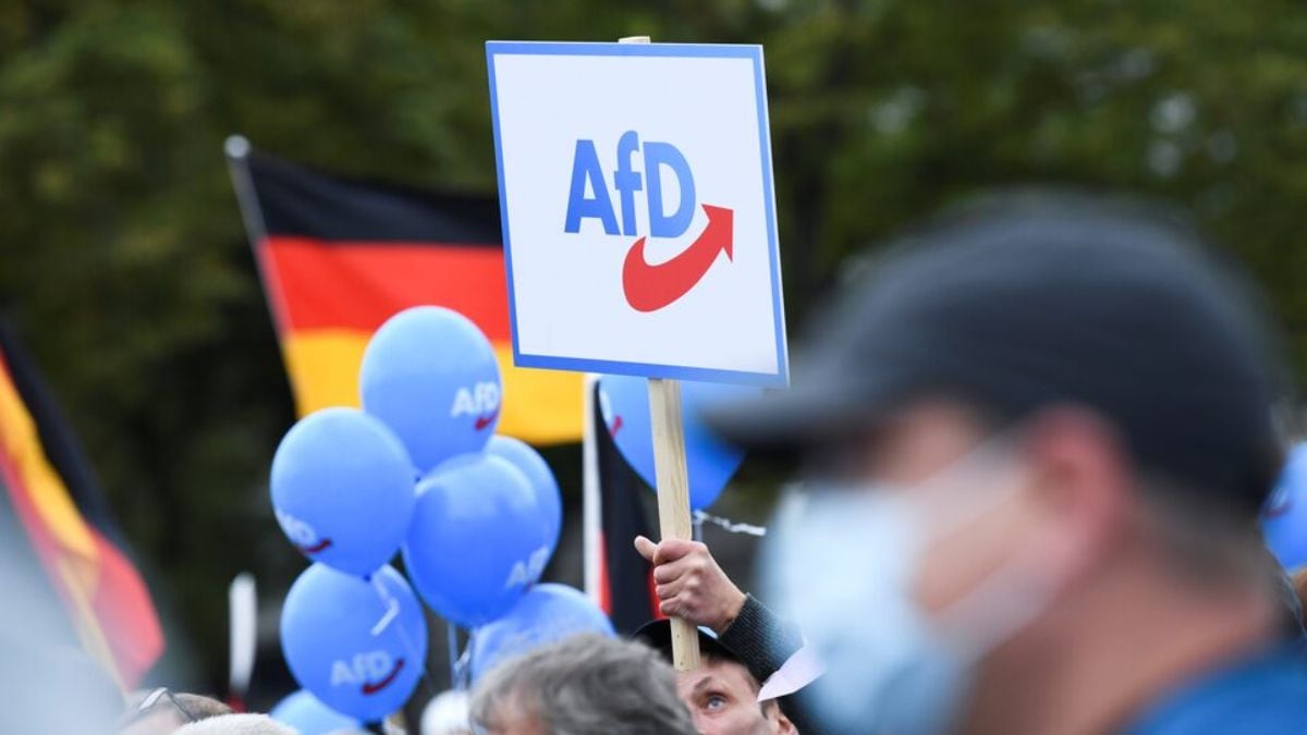 Musk-backed Germany’s AfD distributes fake plane tickets to migrants for deportation