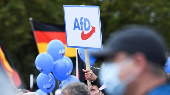 Musk-backed Germany’s AfD distributes fake plane tickets to migrants for deportation