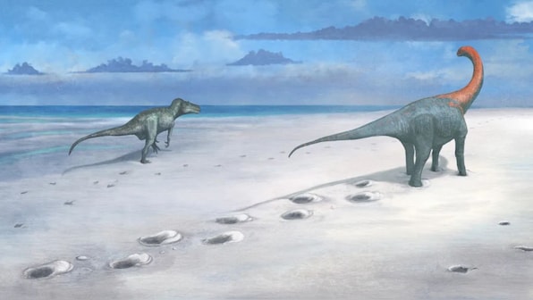 What is the ‘dinosaur highway’ uncovered by scientists in England?