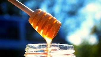 Officials warn that if this illegal 'love honey' is consumed without proper regulation, can lead to serious and dangerous health complications. Image for Representation. Pixabay