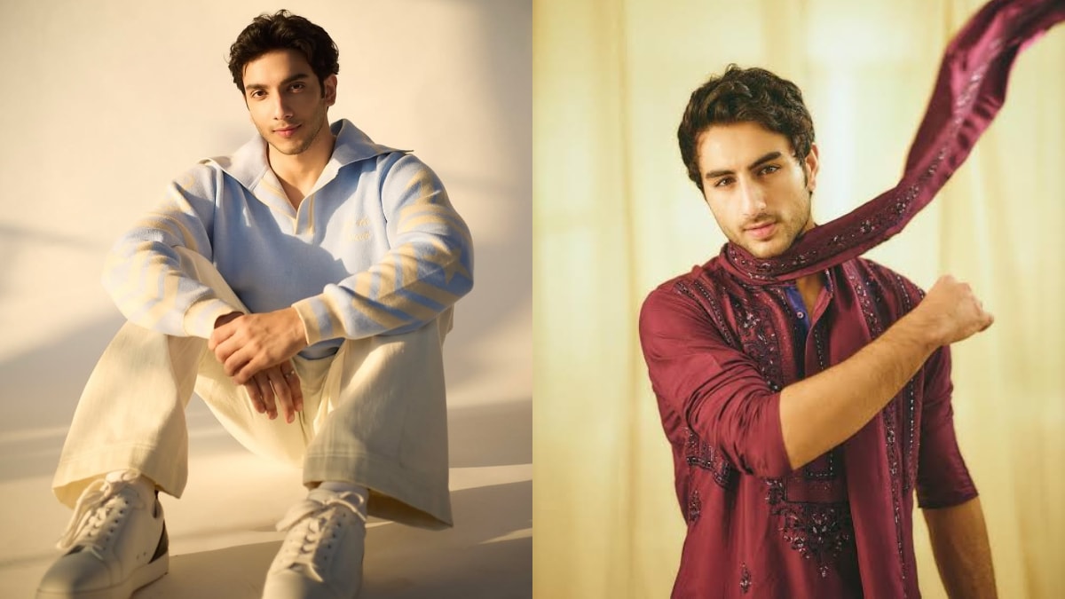 Ibrahim Ali Khan, Vedang Raina to Ishaan Khatter: 5 Actors Who Could Be the Next Rom-Com Heartthrobs