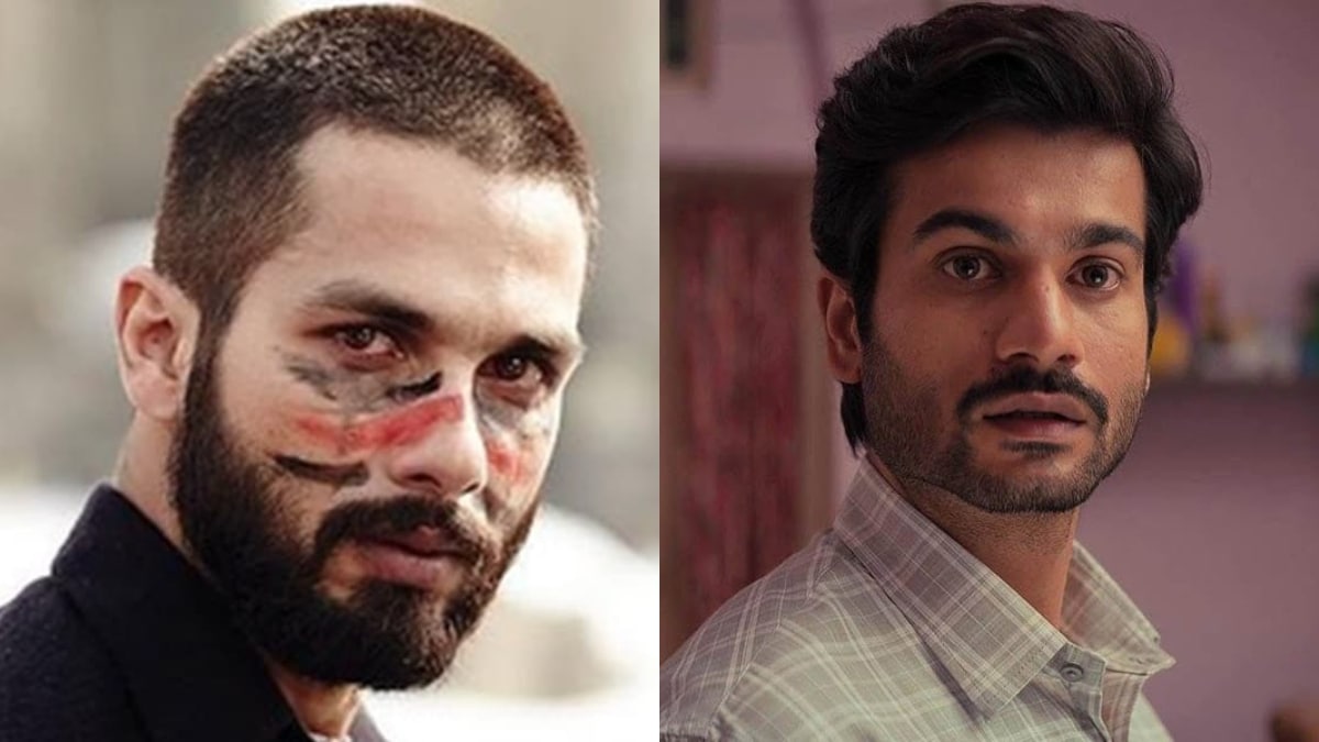 Sunny Kaushal to Shahid Kapoor: Grey Characters We Fell In Love With