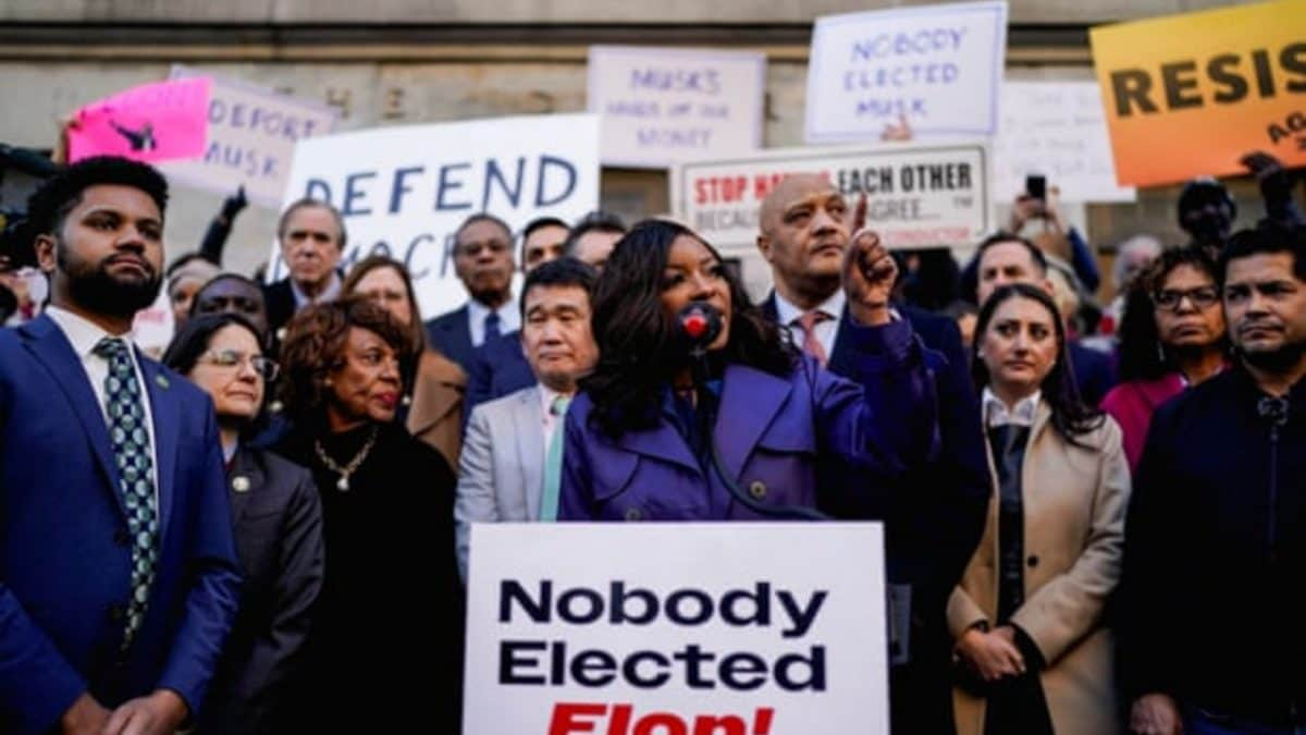 'Stop the steal': Democrats lead protest rally against 'unelected' Musk