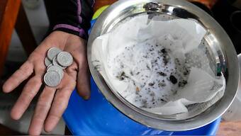 Michael Labag shows the nine pesos reward he got from the 45 mosquito larvas he captured in Mandaluyong city, Philippines as the village started offering bounty for captured mosquitos, dead or alive, as part of an anti-dengue campaign on Wednesday, February 19, 2025. AP