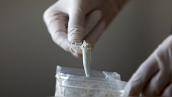 Fentanyl precursors are displayed at Reuters' office, in Mexico City, Mexico. File image/ Reuters