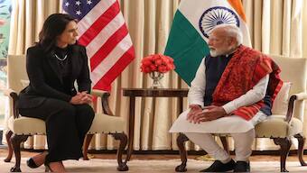 Prime Minister Narendra Modi meets US  Director of National Intelligence Tulsi Gabbard. X - @narendramodi