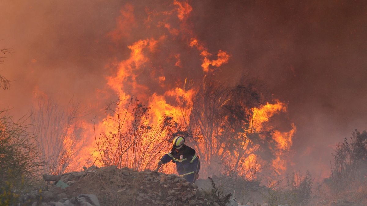 Chile president declares state of emergency in regions hit by wildfires