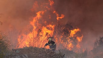 Representational Image- Reuters