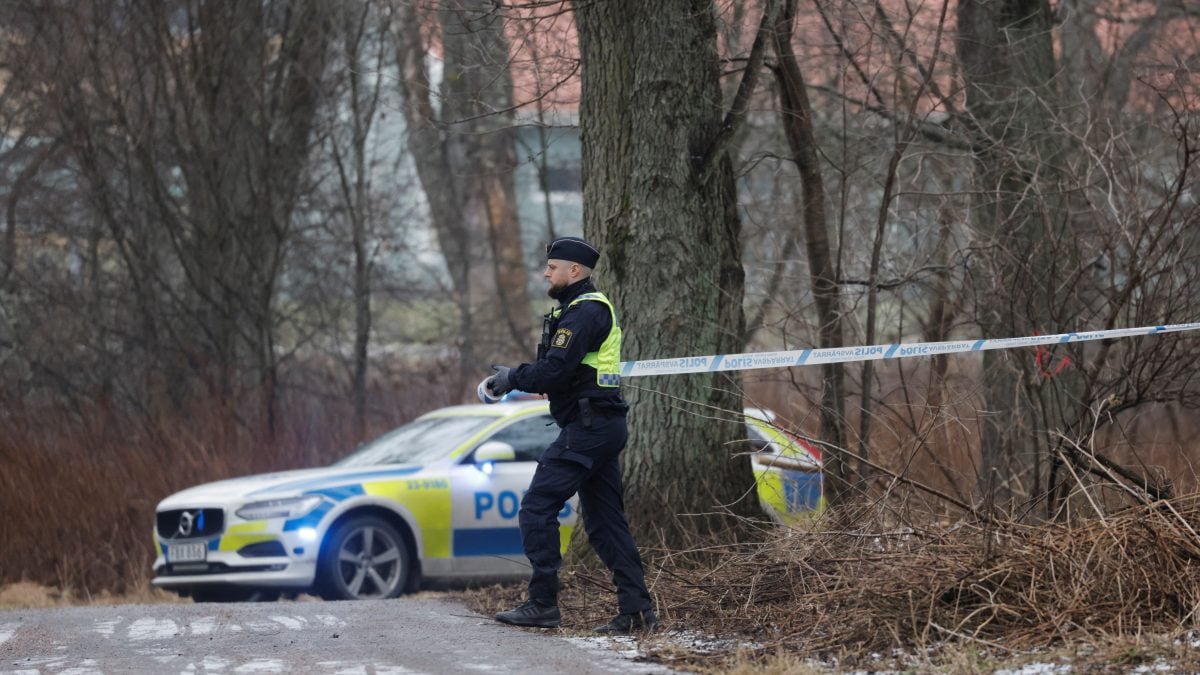 Swedish Shooting Claims Eleven Lives at Adult Education Facility