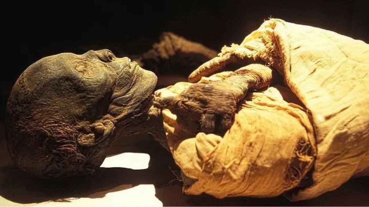 Thutmose II’s mummy was found in 1881 in the Deir el-Bahari Royal Cache (DB320) near Luxor, hidden alongside other New Kingdom pharaohs. His frail, emaciated remains hint at a short life, possibly plagued by illness. File Image/Egypt Museum