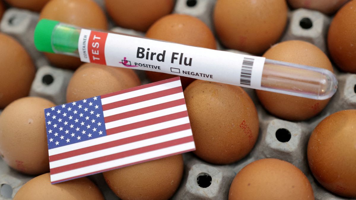 A test tube labelled "Bird Flu", eggs and a piece of paper in the colours of the US national flag are seen in this picture illustration, January 14, 2023. File Image/Reuters A test tube labelled "Bird Flu", eggs and a piece of paper in the colours of the US national flag are seen in this picture illustration, January 14, 2023. File Image/Reuters