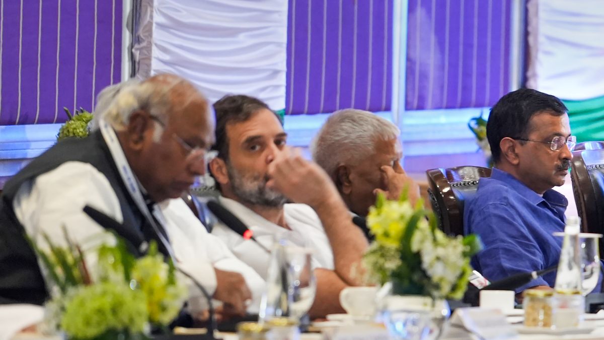 The AAP and Congress, INDIA bloc allies, fought the Delhi elections separately. File Photo/PTI The AAP and Congress, INDIA bloc allies, fought the Delhi elections separately. File Photo/PTI