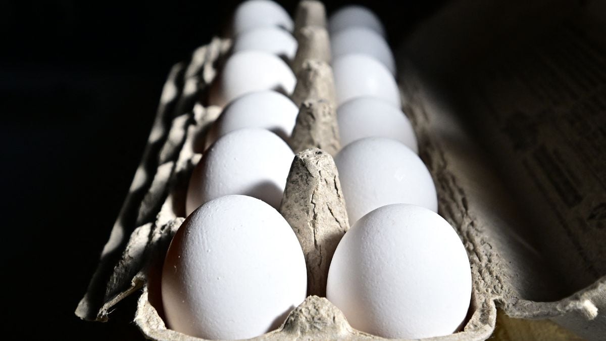 Bird flu spreading in US, causing egg shortage, pushing prices & fuelling fears