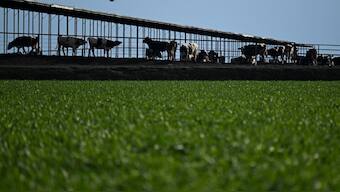 Representative image. AFP