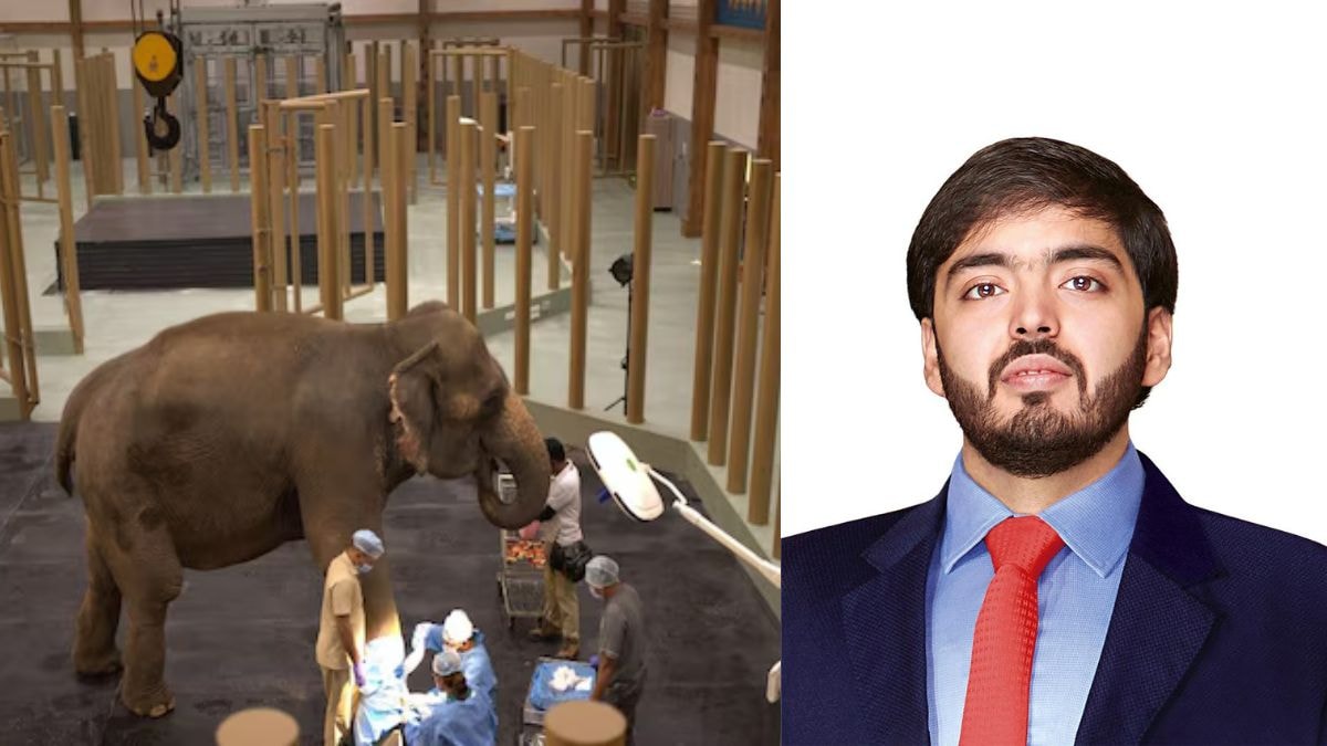 Anant Ambani's Vantara wins 'Prani Mitra' award, India’s highest honour for animal welfare in ‘corporate’ category