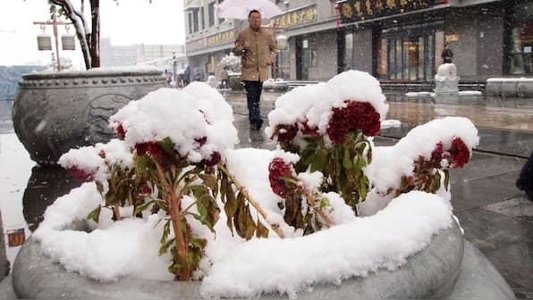 China loves faking it: After fake pandas and tigers, now fake snow to fool tourists