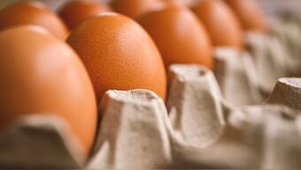 A team of researchers at Italy’s National Research Council now claim they’ve discovered the "perfect" method to make a boiled egg. It is called the 'periodic cooking'. Image for Representation. Pixabay