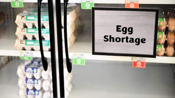 Egg-heist, surcharge per piece and more: Why is the US facing an egg crisis?
