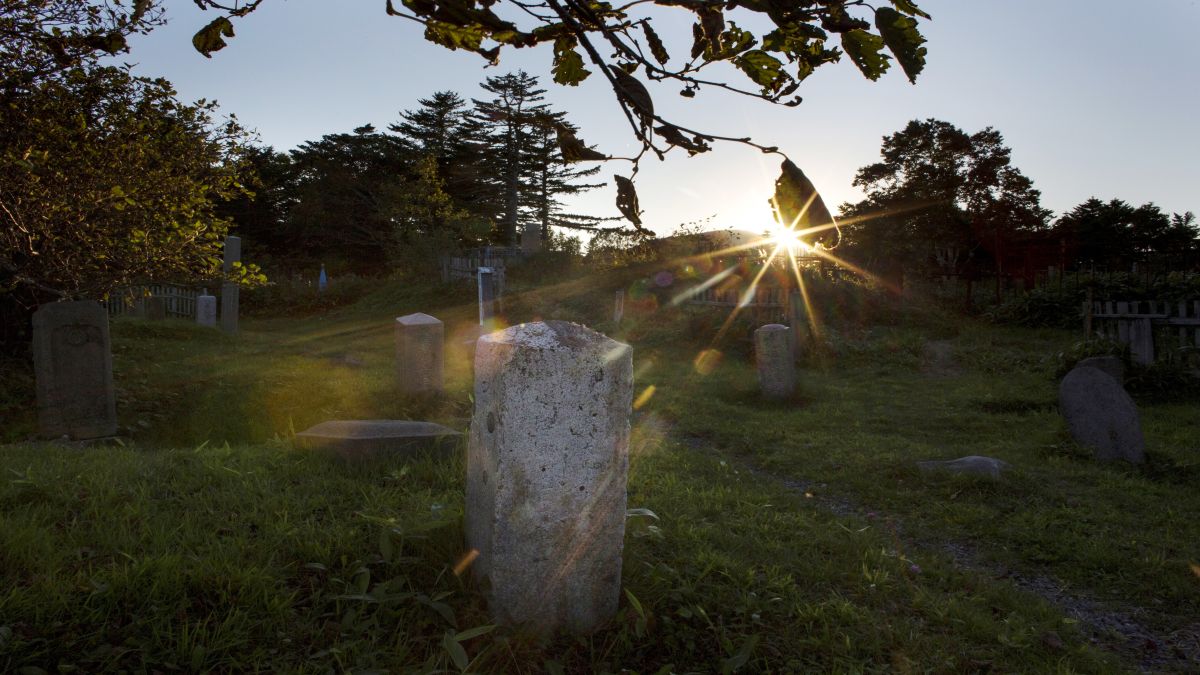 The evening sun breaks through the trees behind a tombstone at a cemetery in Japan. Muslims in the country are asking for more burial plots but are facing stiff opposition. Representational image/Reuters The evening sun breaks through the trees behind a tombstone at a cemetery in Japan. Muslims in the country are asking for more burial plots but are facing stiff opposition. Representational image/Reuters