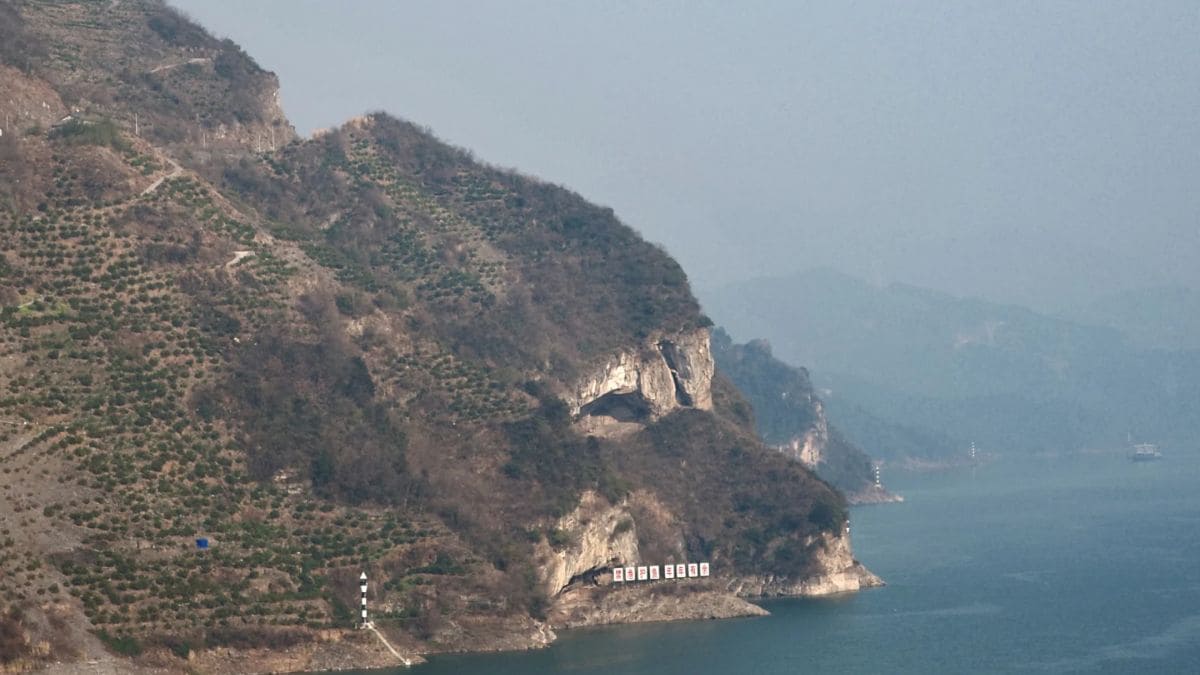 It's Pawsome! What is China’s ‘Puppy Mountain’ that has become an overnight sensation?