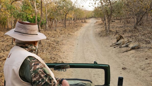 On World Wildlife Day, PM Modi undertakes Safari tour of Gir forest | See pics