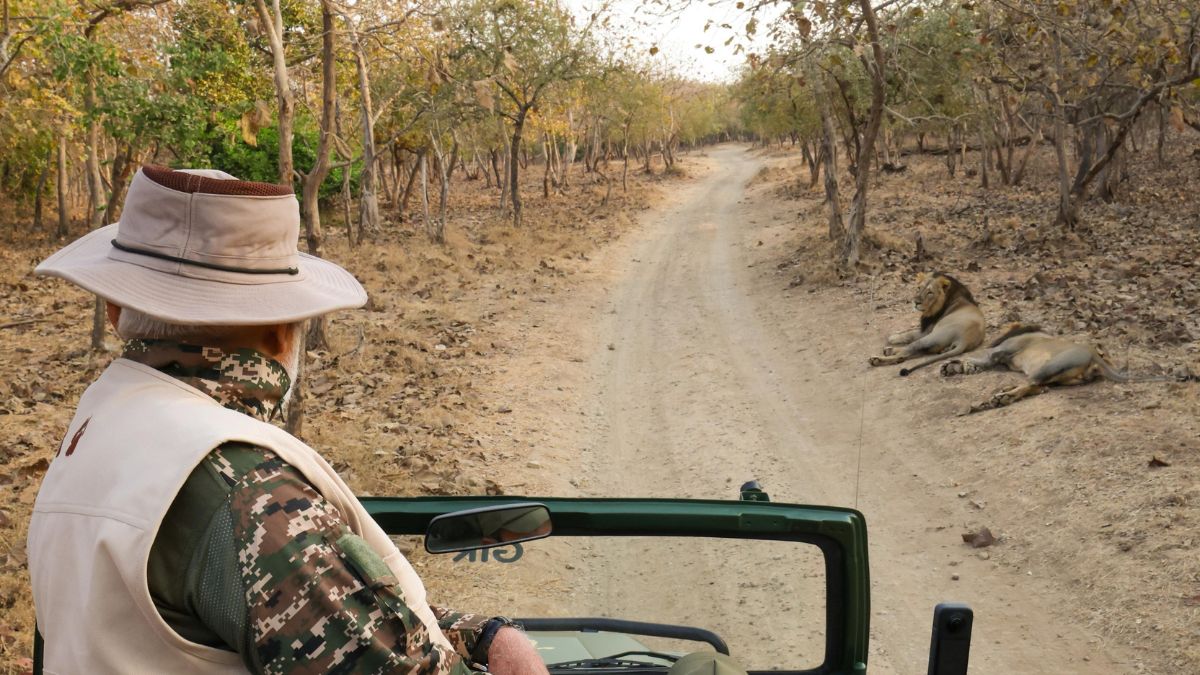 PM Modi on a Safari in Gir PM Modi on a Safari in Gir