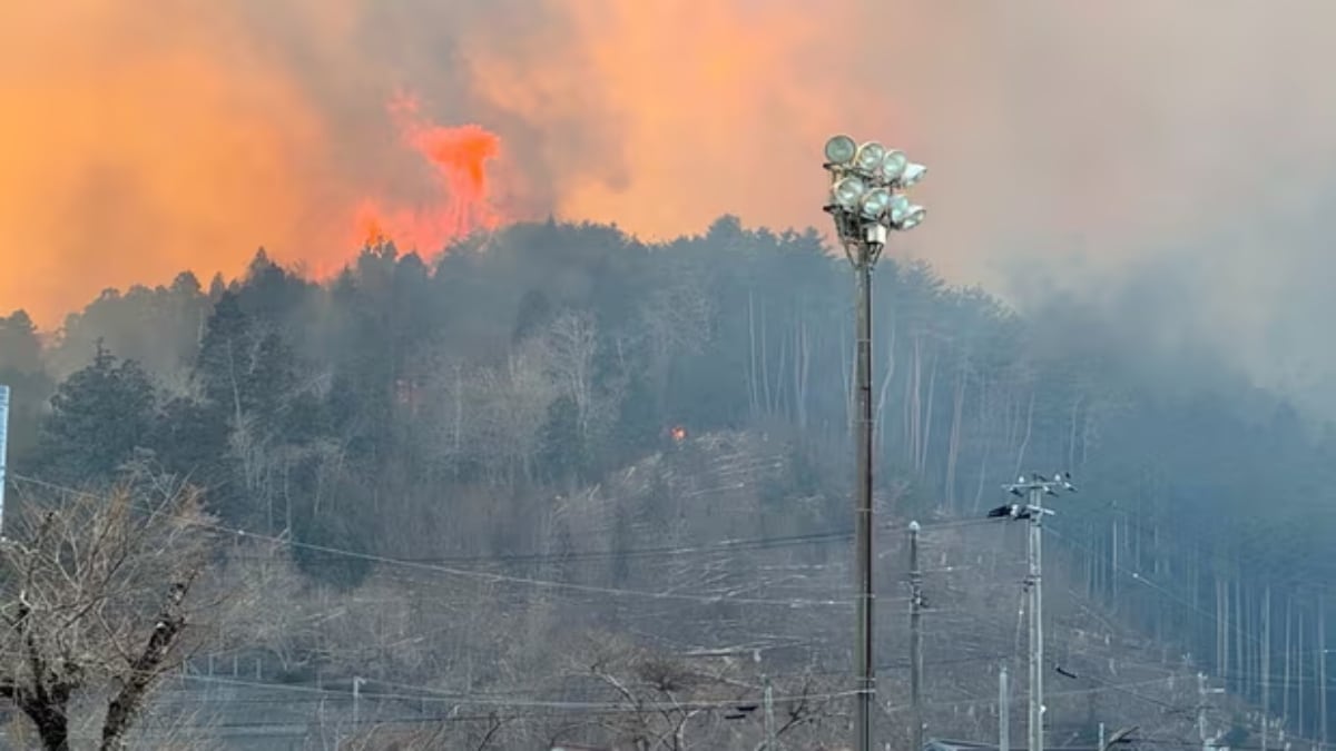 Japan battles largest wildfire in 3 decades, 1 dead, over thousand evacuated