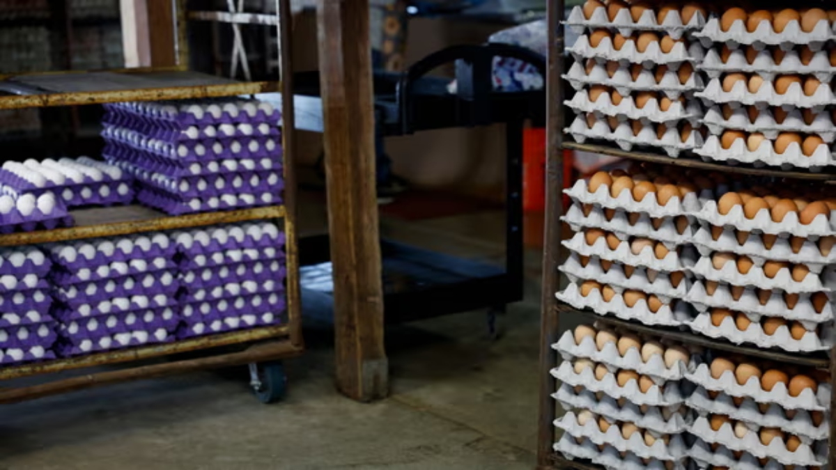 Trump promised to lower egg prices on his first day in office, but prices increased 59% on a year-on-year basis in February. X Trump promised to lower egg prices on his first day in office, but prices increased 59% on a year-on-year basis in February. X