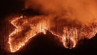 Wildfires spread along the mountain slopes in Uiseong, South Korea. AFP