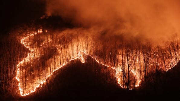 Devastating wildfires in South Korea claim 18 lives as blazes cause unprecedented damage