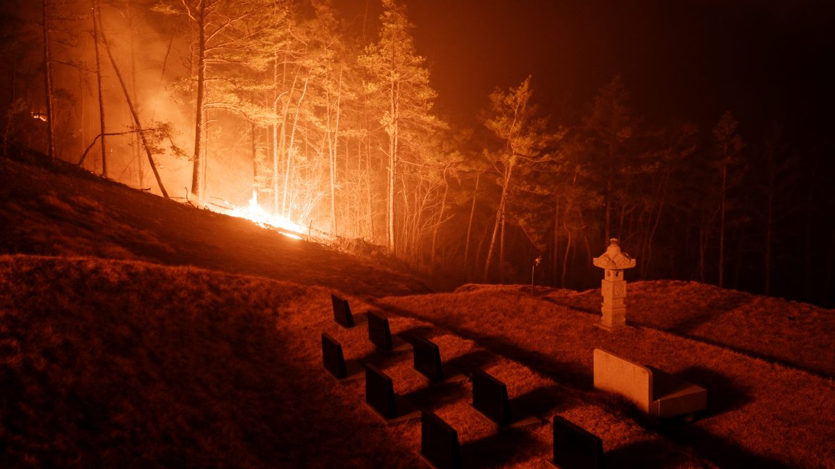A wildfire is seen next to a family tomb in Andong. AFP A wildfire is seen next to a family tomb in Andong. AFP