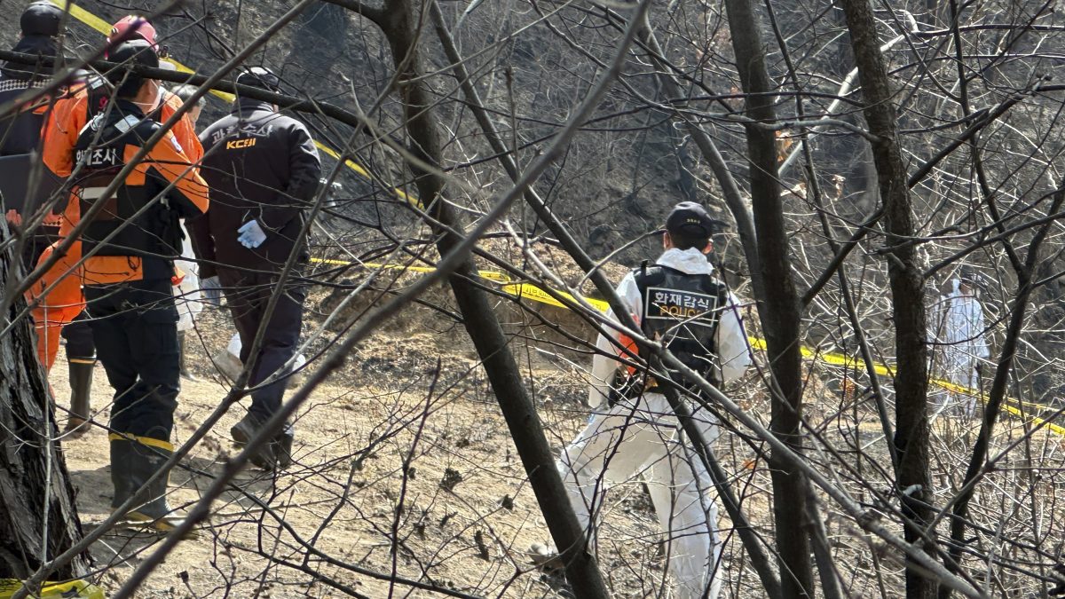 Members of firefighters, the National Forensic Service and the Korea Crime Scene Investigation investigate at the scene in Uiseong, South Korea. AP Members of firefighters, the National Forensic Service and the Korea Crime Scene Investigation investigate at the scene in Uiseong, South Korea. AP