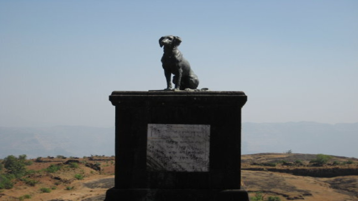 When Shivaji died in 1680, the grieving dog reportedly jumped onto his funeral pyre and immolated himself. Image Courtesy:
@HISTORYTV18/X When Shivaji died in 1680, the grieving dog reportedly jumped onto his funeral pyre and immolated himself. Image Courtesy:
@HISTORYTV18/X