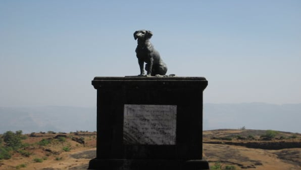 Did Shivaji have a dog named Waghya? The controversy over a memorial at Raigad explained
