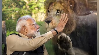Prime Minister Narendra Modi during the inauguration of 'Vantara', in Jamnagar, Gujarat. @NarendraModi on Youtube via PTI
