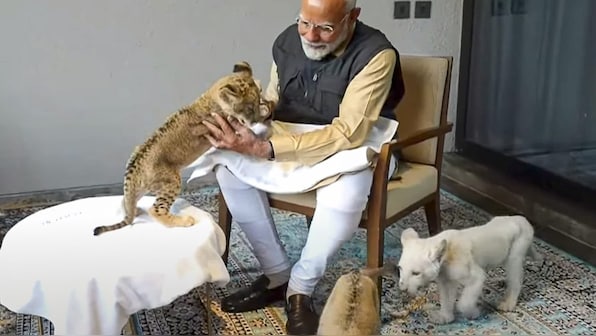 Watch | PM Modi feeds lion cubs at Vantara, plays with orangutan on Jamnagar wildlife tour