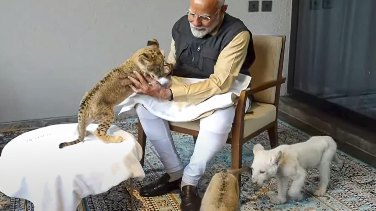 Prime Minister Narendra Modi during the inauguration of 'Vantara', in Jamnagar, Gujarat. @NarendraModi on Youtube via PTI Prime Minister Narendra Modi during the inauguration of 'Vantara', in Jamnagar, Gujarat. @NarendraModi on Youtube via PTI