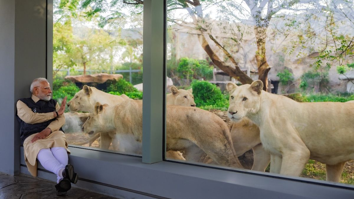 PM Modi hails Anant Ambani’s Vantara as a beacon of wildlife conservation PM Modi hails Anant Ambani’s Vantara as a beacon of wildlife conservation