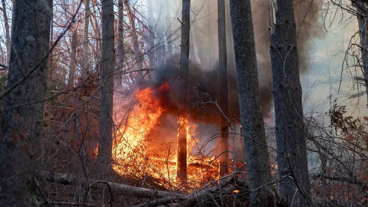 The Black Cove Fire is seen burning Wednesday, March 26, 2025, in Saluda, N.C. Image- AP The Black Cove Fire is seen burning Wednesday, March 26, 2025, in Saluda, N.C. Image- AP