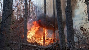 The Black Cove Fire is seen burning Wednesday, March 26, 2025, in Saluda, N.C. Image- AP