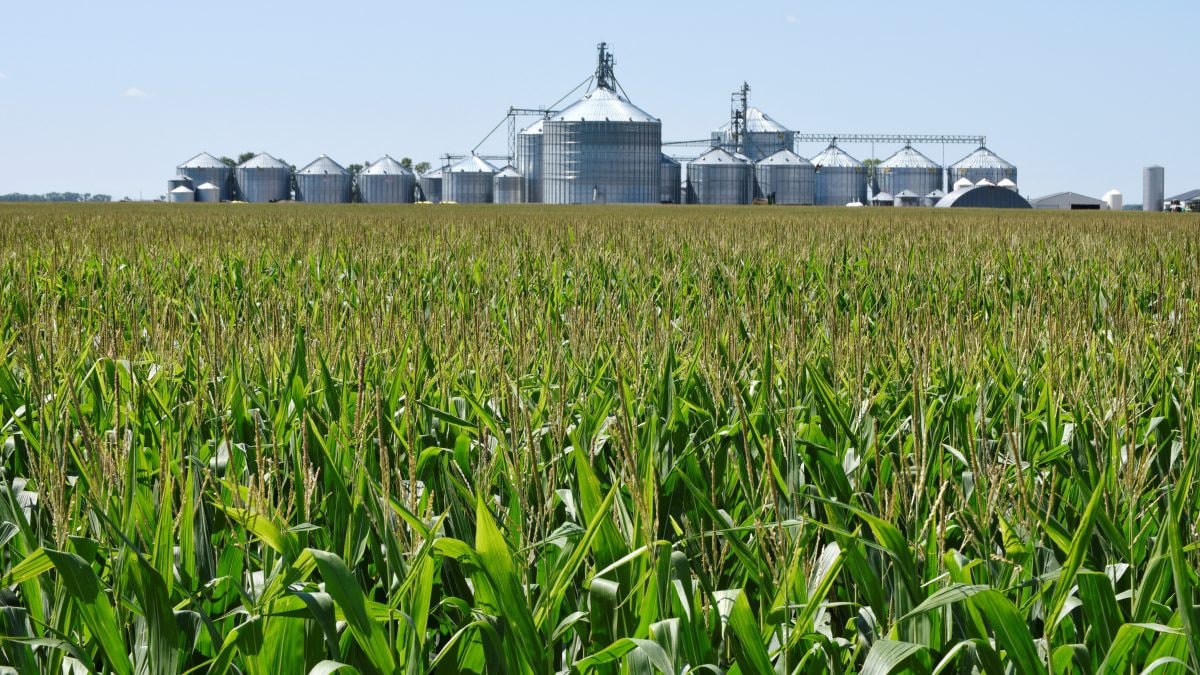 Trump warns US farmers to prepare for domestic sales amid trade war