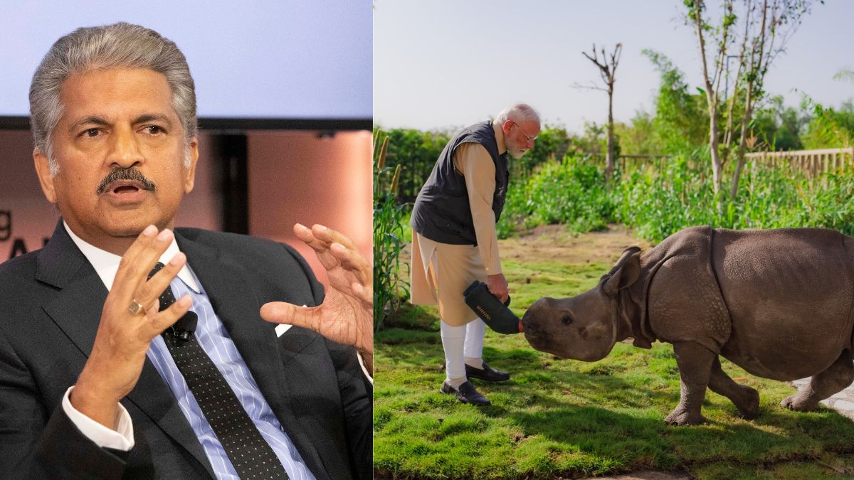 Anand Mahindra and PM Modi at Vantara. Image Courtesy: PTI/@narendramodi/X Anand Mahindra and PM Modi at Vantara. Image Courtesy: PTI/@narendramodi/X