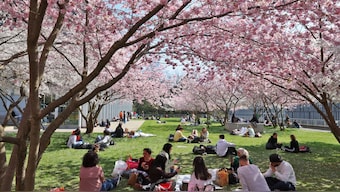 People sit in the Mon-Repos park among blooming cherry blossoms in Lausanne, Switzerland March 25, 2022. The country has an attractive golden visa scheme for wealthy foreigners. File Photo/Reuters