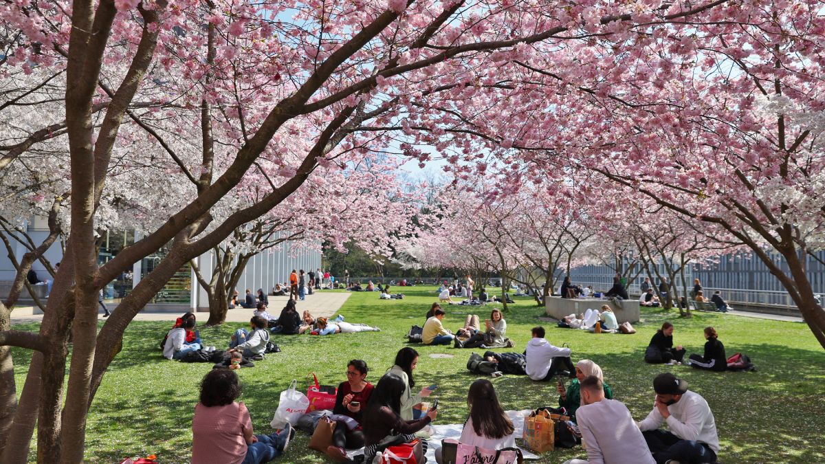 People sit in the Mon-Repos park among blooming cherry blossoms in Lausanne, Switzerland March 25, 2022. The country has an attractive golden visa scheme for wealthy foreigners. File Photo/Reuters People sit in the Mon-Repos park among blooming cherry blossoms in Lausanne, Switzerland March 25, 2022. The country has an attractive golden visa scheme for wealthy foreigners. File Photo/Reuters